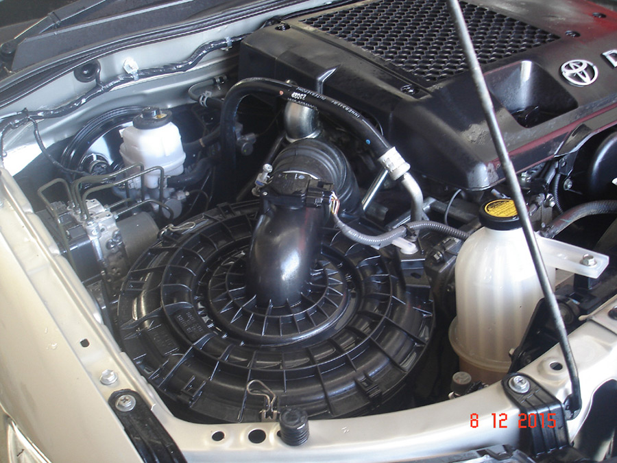 KD'z Car Grooming - Photo Gallery